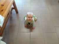 20250503_093916 (1024x768).jpg